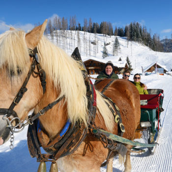 Skiurlaub & Winterurlaub in Radstadt, Ski amadé – Pferdeschlittenfahrten