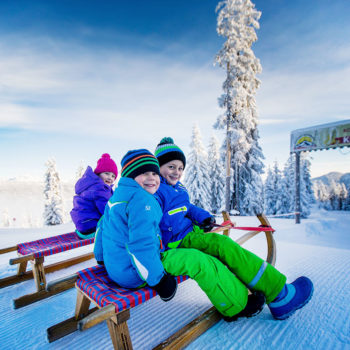 Skiurlaub & Winterurlaub in Radstadt, Ski amadé – Rodeln